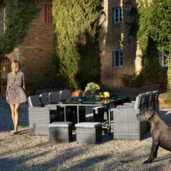 Tectake - Luxe Wicker Zitgroep Palma 8+4+1 - Grijs/grijs 6 Tectake - Luxe Wicker Zitgroep Palma 8+4+1 - Grijs/grijs -Madison Verkoopwinkel 1000077914 0102